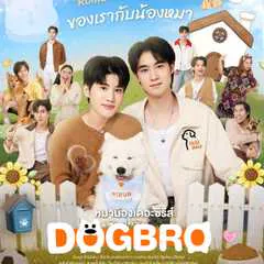 DogBro