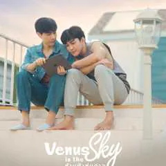 Venus in the sky